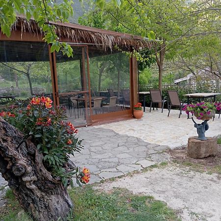 Xenonas Souliou Hotel Samonida Ngoại thất bức ảnh