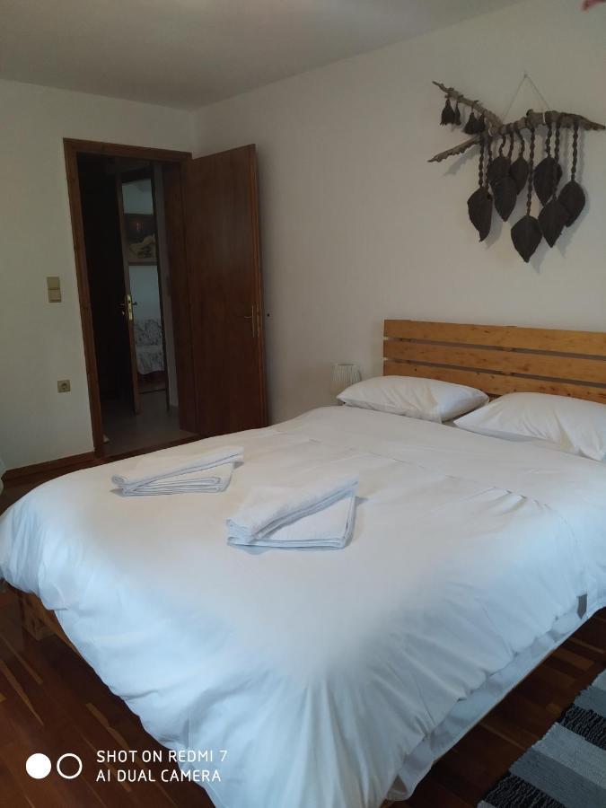 Xenonas Souliou Hotel Samonida Ngoại thất bức ảnh
