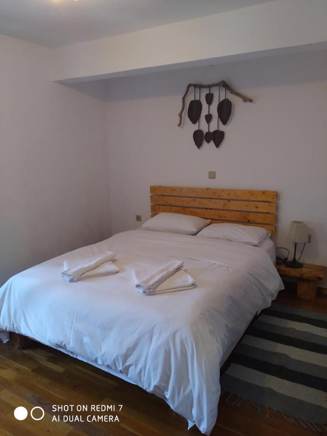 Xenonas Souliou Hotel Samonida Ngoại thất bức ảnh