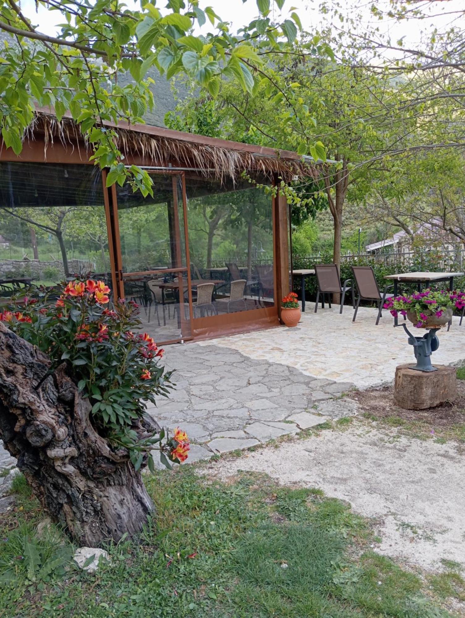 Xenonas Souliou Hotel Samonida Ngoại thất bức ảnh